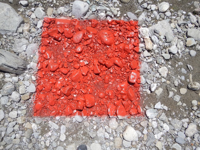 Colored squares (1mx1m) in the area of barca-vecchia to understand the capacity of erosion.
